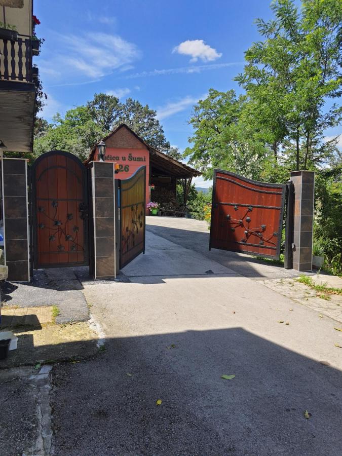 Kucica u Šumi - B&B