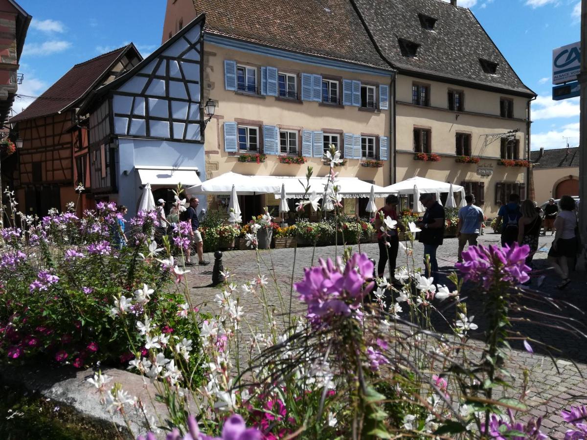 B&B Eguisheim - Gîte au château fleuri - Bed and Breakfast Eguisheim