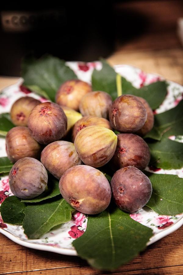 Agr. Cascina Fabbrica - B&B Fossano