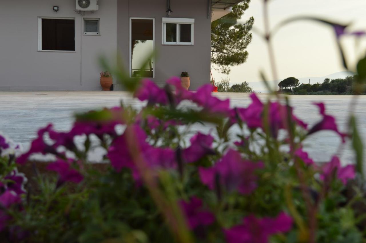 Bilines Home - B&B