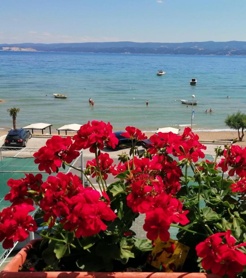 Appartamento con 1 Camera da Letto