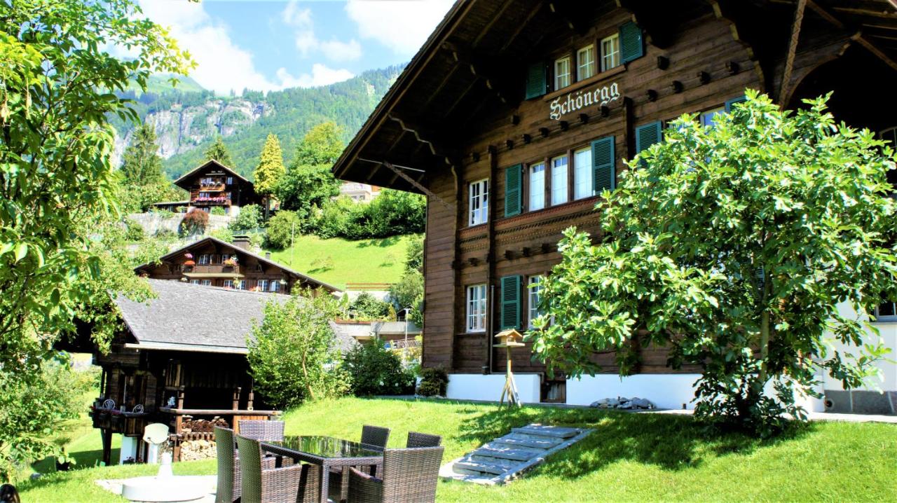 Double Room with Shared Bathroom (Schönegg)