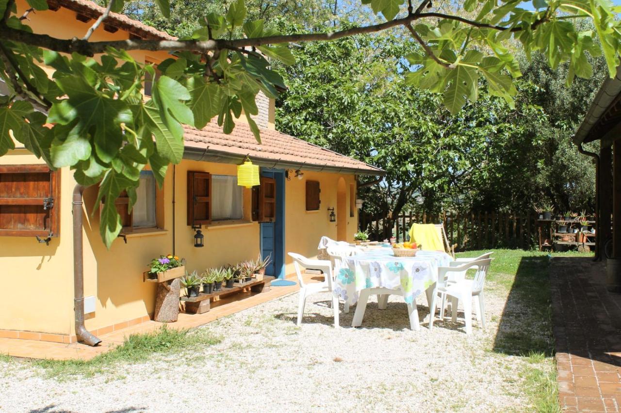 Tierra Cristiana - B&B Civitanova Marche