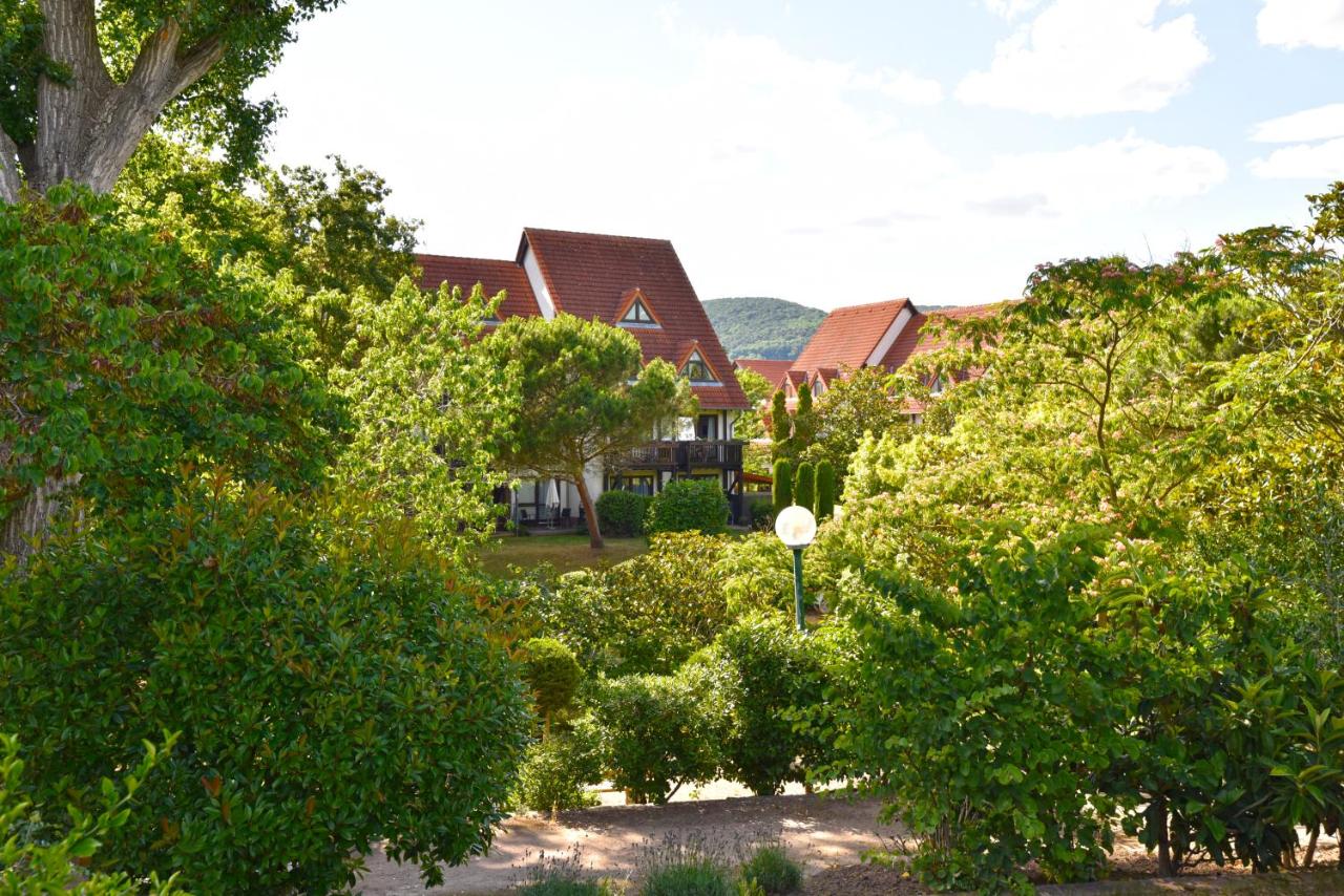Weinbach Wohnungen - Ferienwohnung Deidesheim