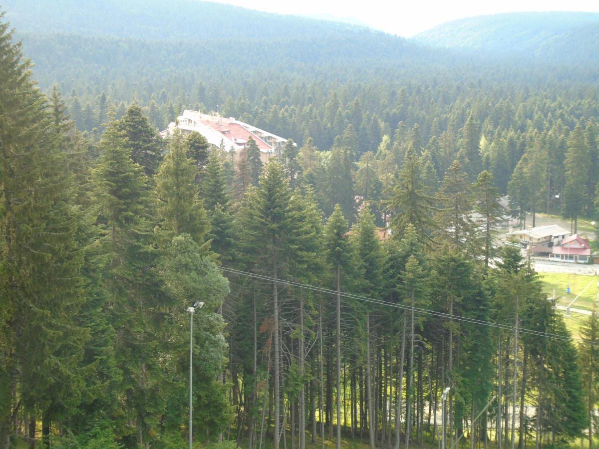 Хотел Флора private studio All seasons - Ferienwohnung Borowez