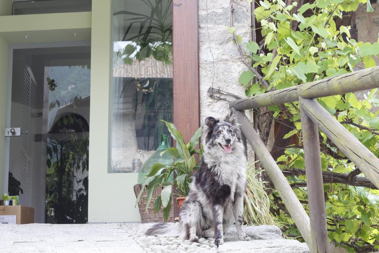 B&B Casa Gori - B&B Madice