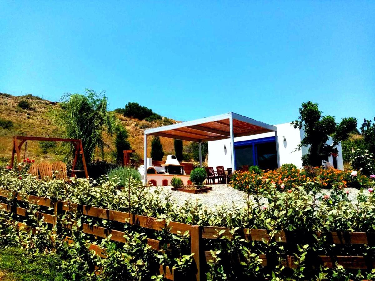 Villa Dimitrios - B&B