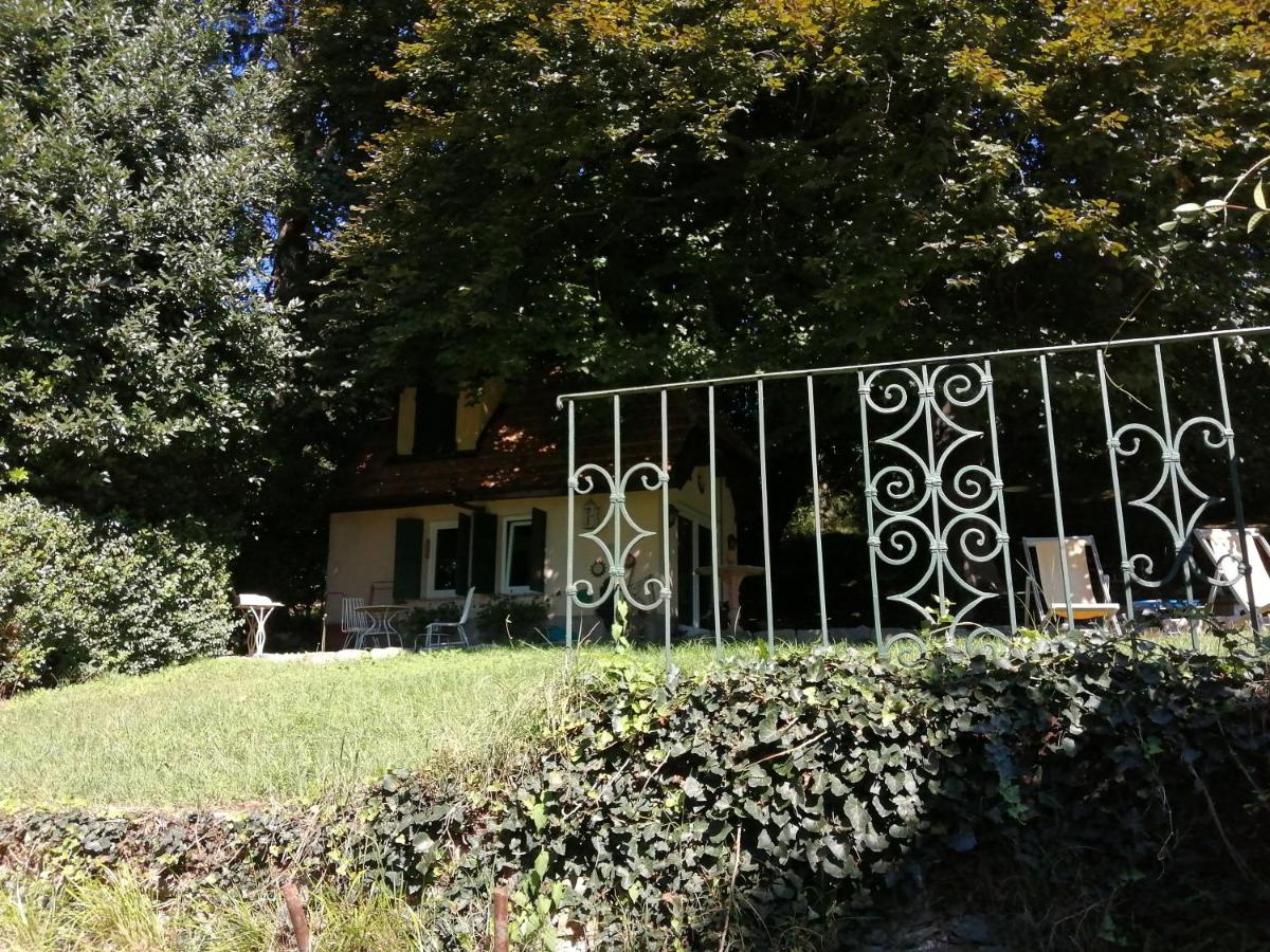 Cottage sotto il faggio centenario - Chambres d’hôtes Ameno