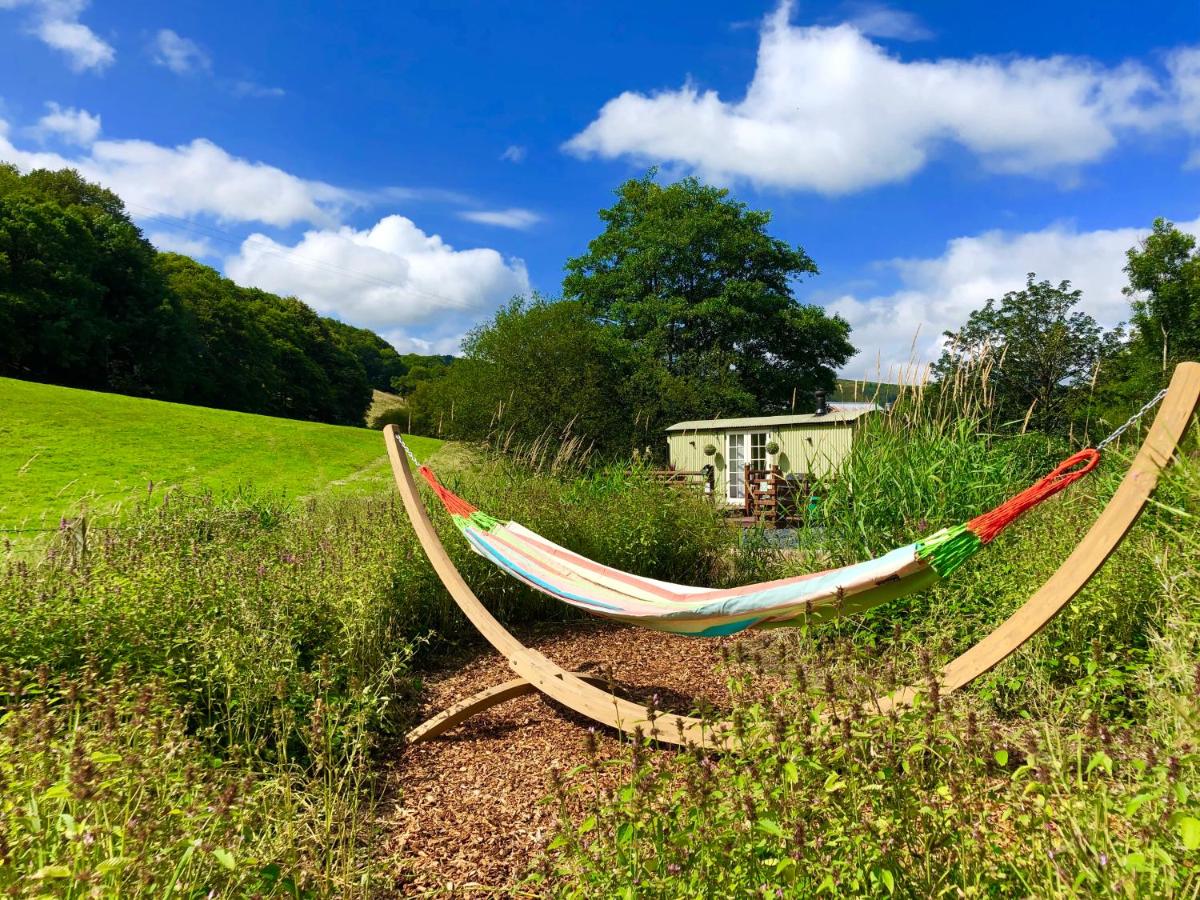 B&B Darowen - Mid Wales Luxury Huts - Bed and Breakfast Darowen