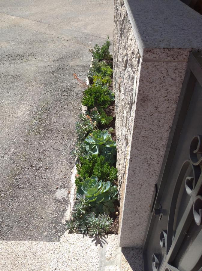 Casa Morgado - B&B