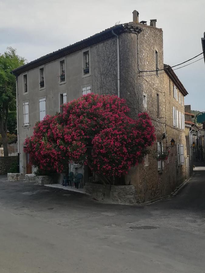 B&B Lagrasse - Chez Shona - Bed and Breakfast Lagrasse