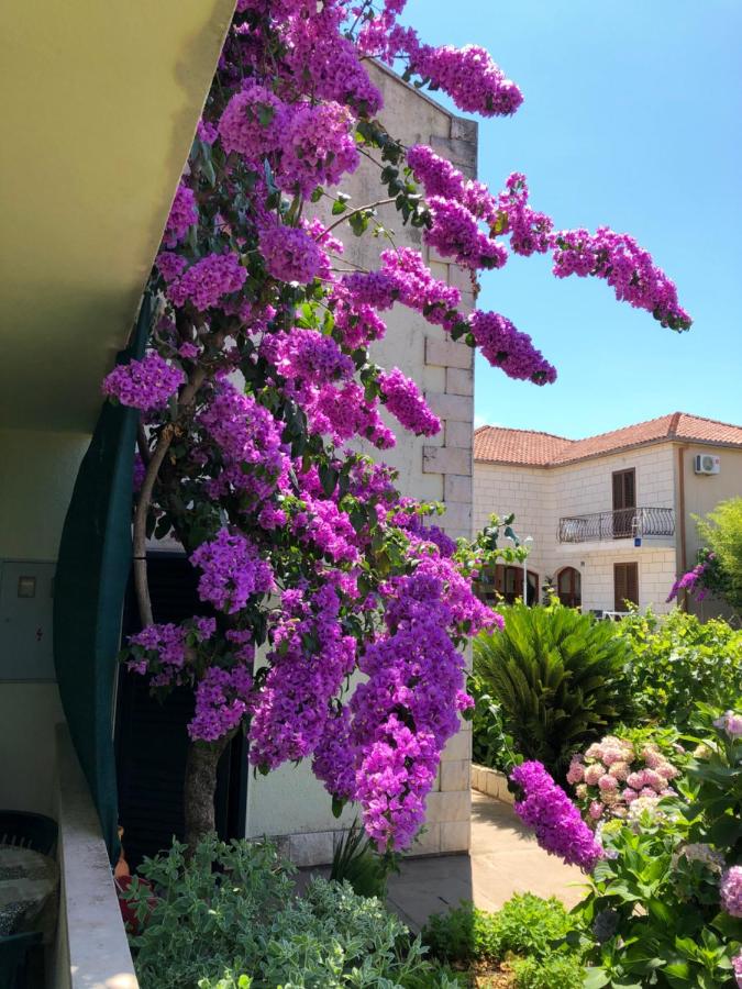 Apartamento con vistas al jardín