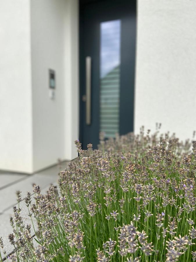 Ferienwohnung Weinbergblick - B&B