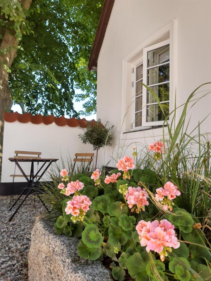 B&B Otterup - Apartment in Danmark- Agernaesgaard Otterup - Bed and Breakfast Otterup