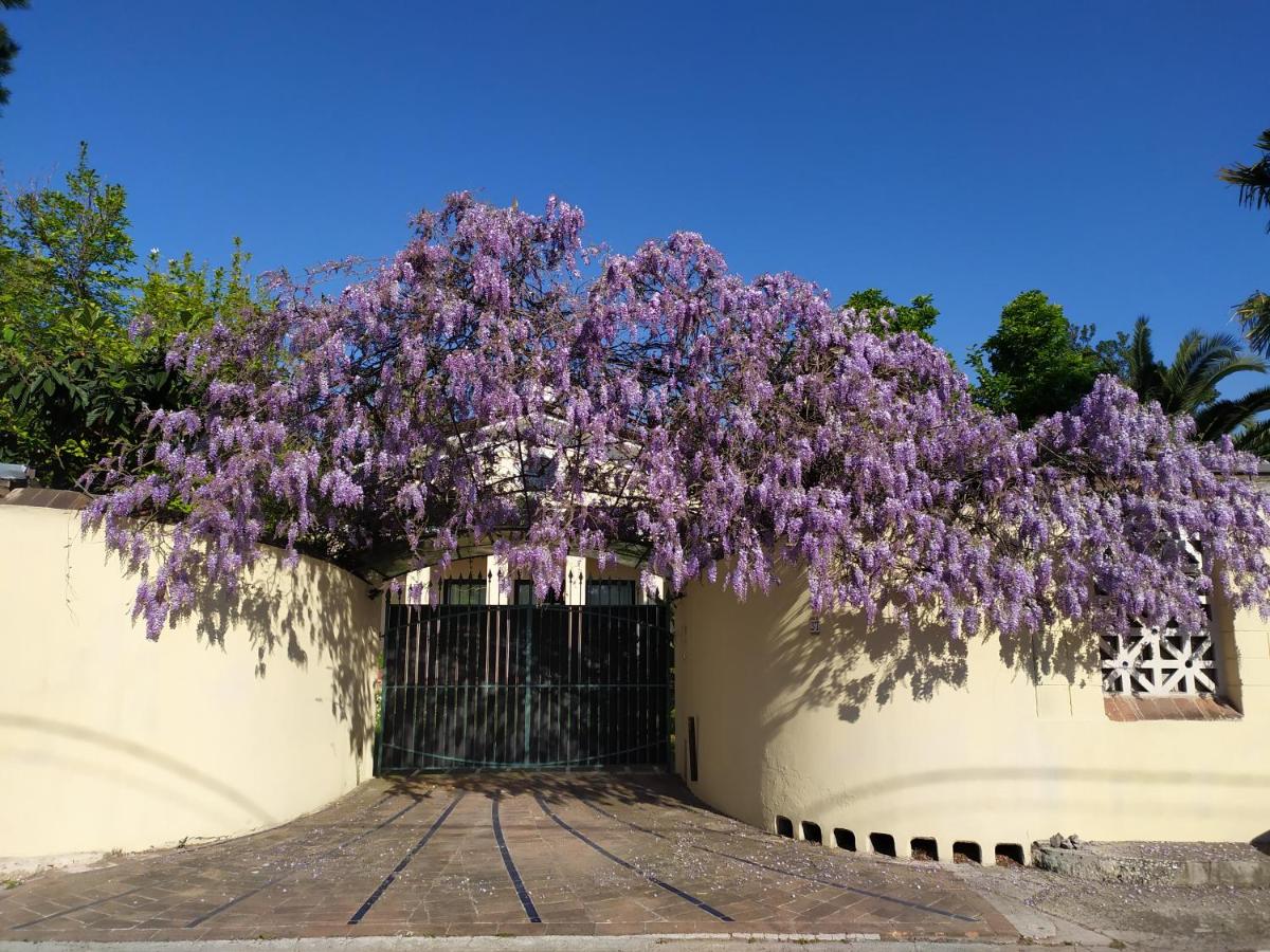 Tempio - B&B Massa