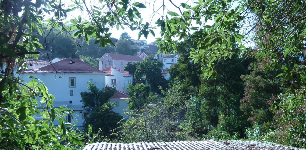 ribeira dos marinheiros azul - Ferienwohnung Sintra