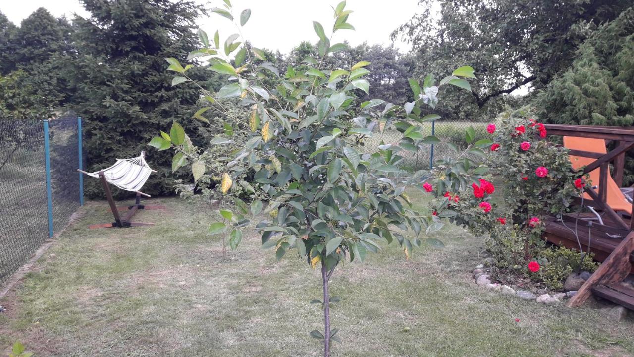 Sielska Chata - B&B Fabianki