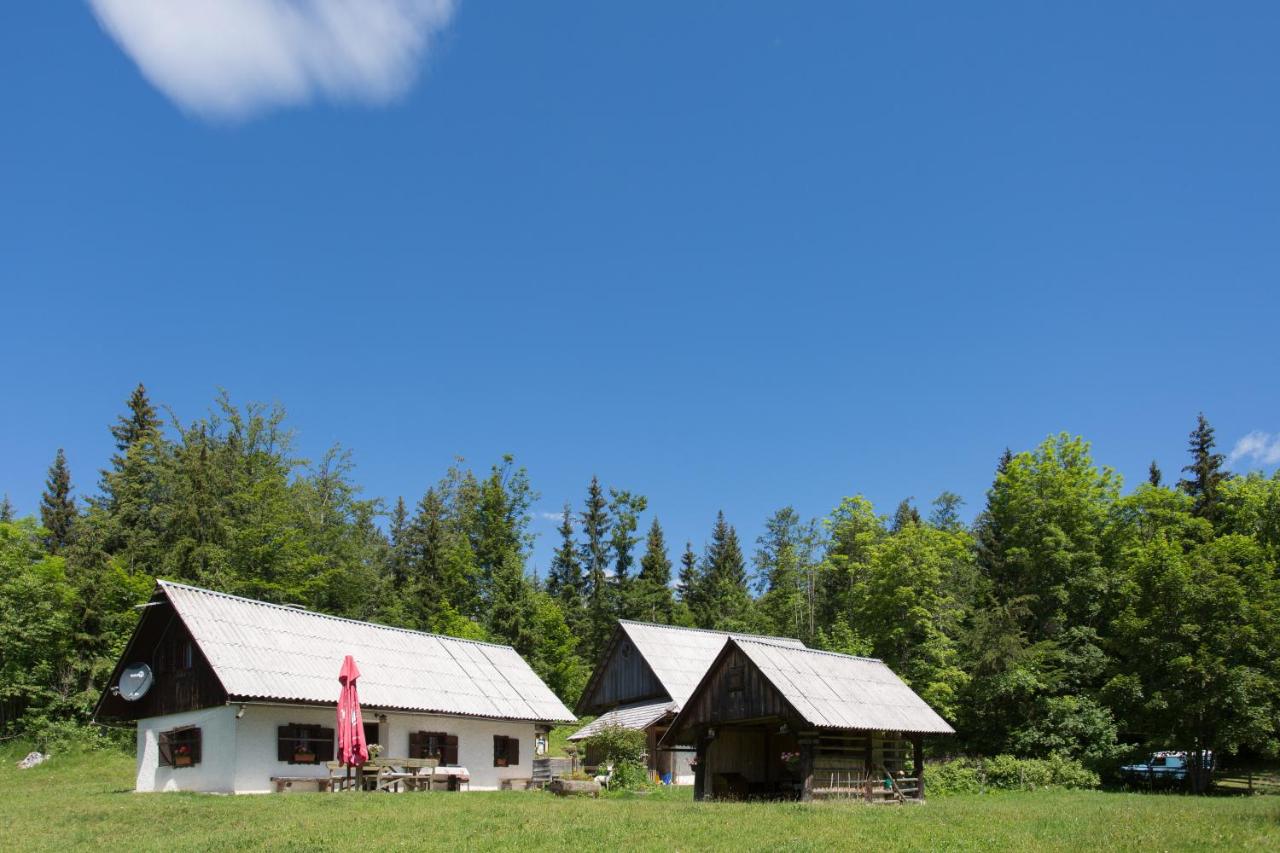 B&B Srednja vas v Bohinju - Mountain house MINKA - Bed and Breakfast Srednja vas v Bohinju