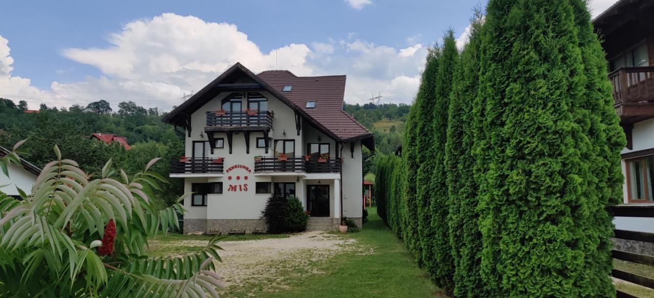 Pensiunea MIS - B&B