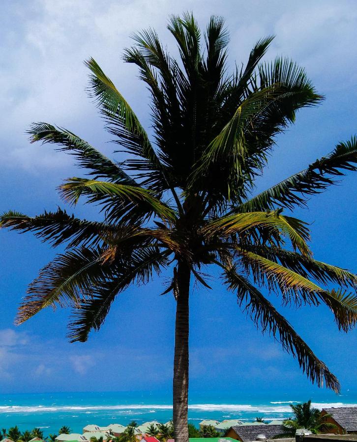 Romantic Sweety Cottage with its Private Pool & Gorgeous View - Chambres d’hôtes Oyster Pond