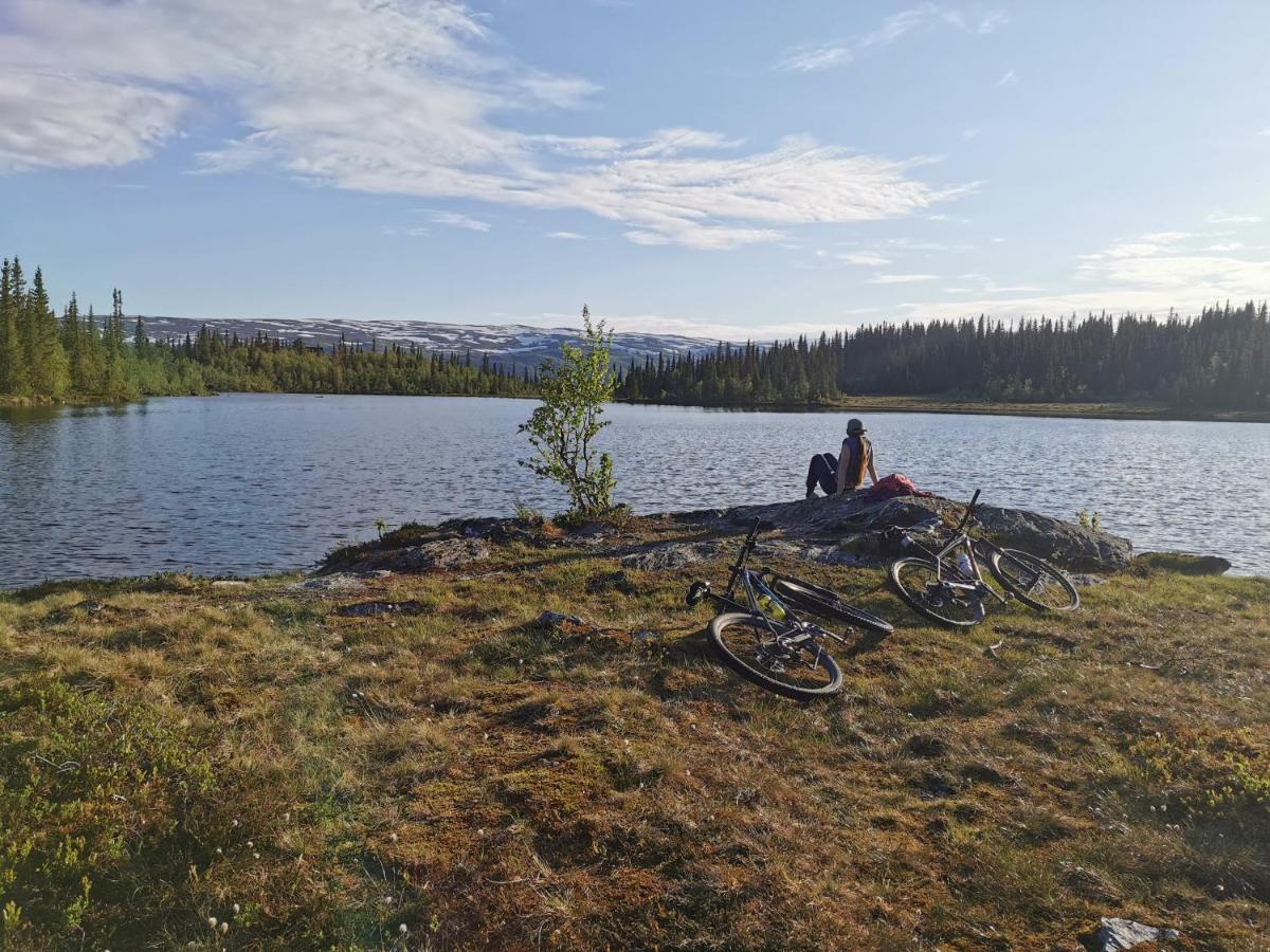 Liaplassen Fjellhytte - B&B