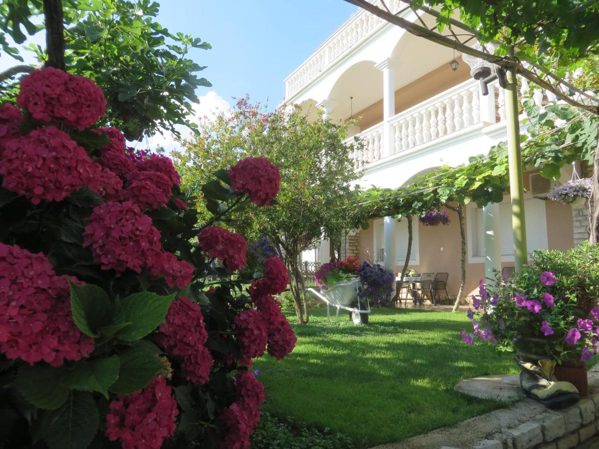 Beach apartment Roza Biograd oneroom - Premium location - Bed and Breakfast Biograd na Moru