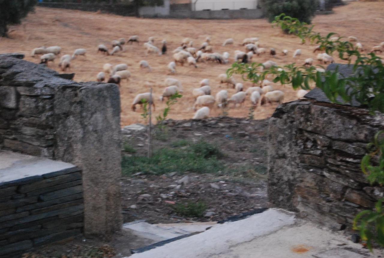 Casa dos Primos - B&B Muxagata