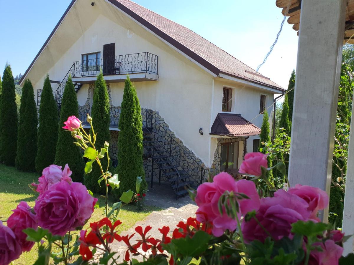 B&B Zarnesti - Casa Carpati - Bed and Breakfast Zarnesti