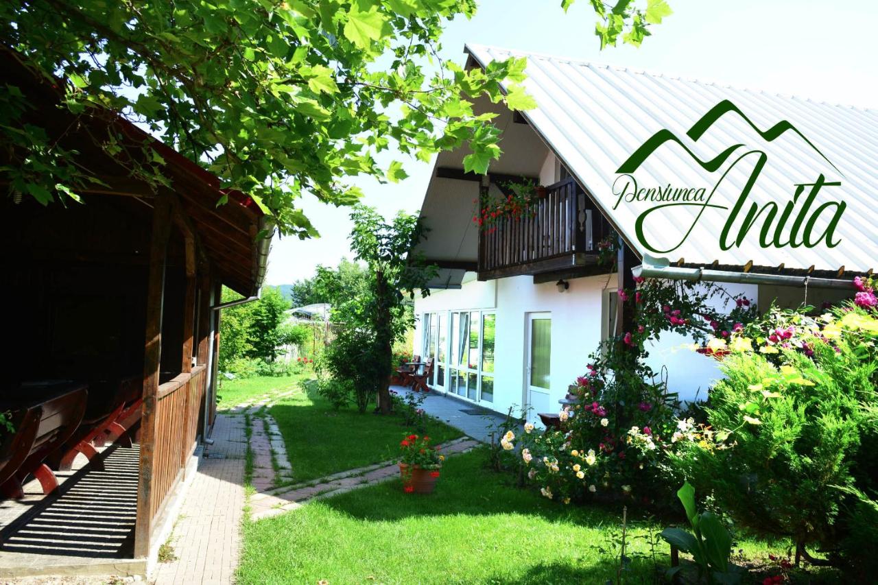 Pensiunea Anita - Bed and Breakfast