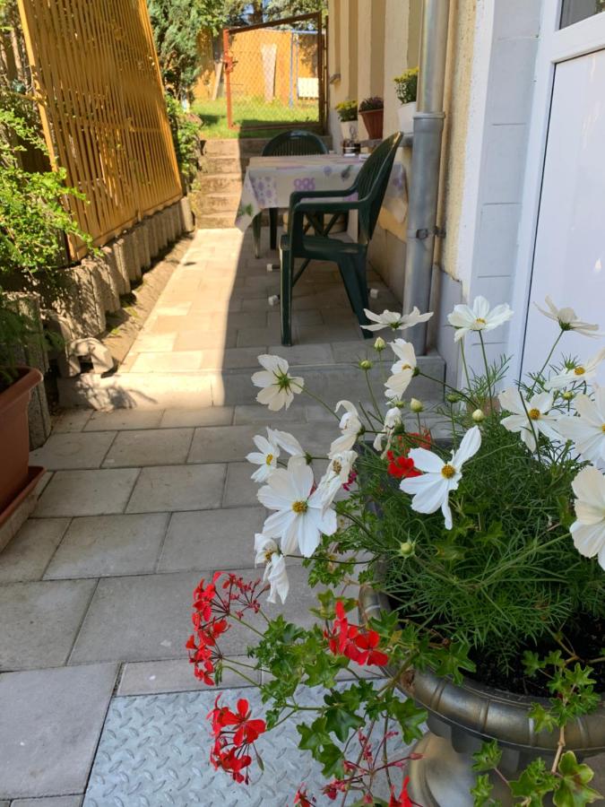 Ferienwohnung Goldener Drache - B&B Hohekreuz