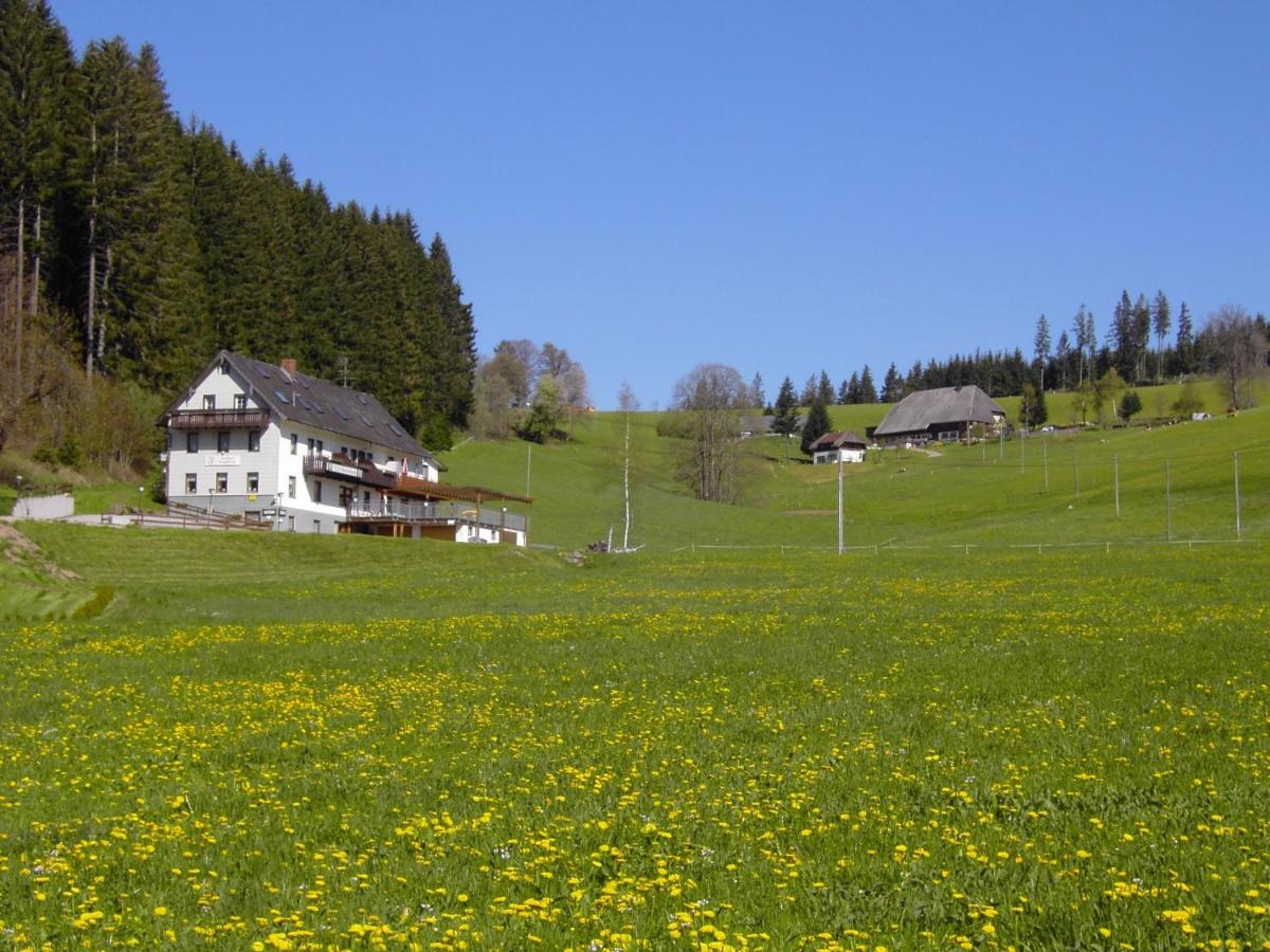 B&B Titisee-Neustadt - Gasthaus Pension Donishäusle - Bed and Breakfast Titisee-Neustadt