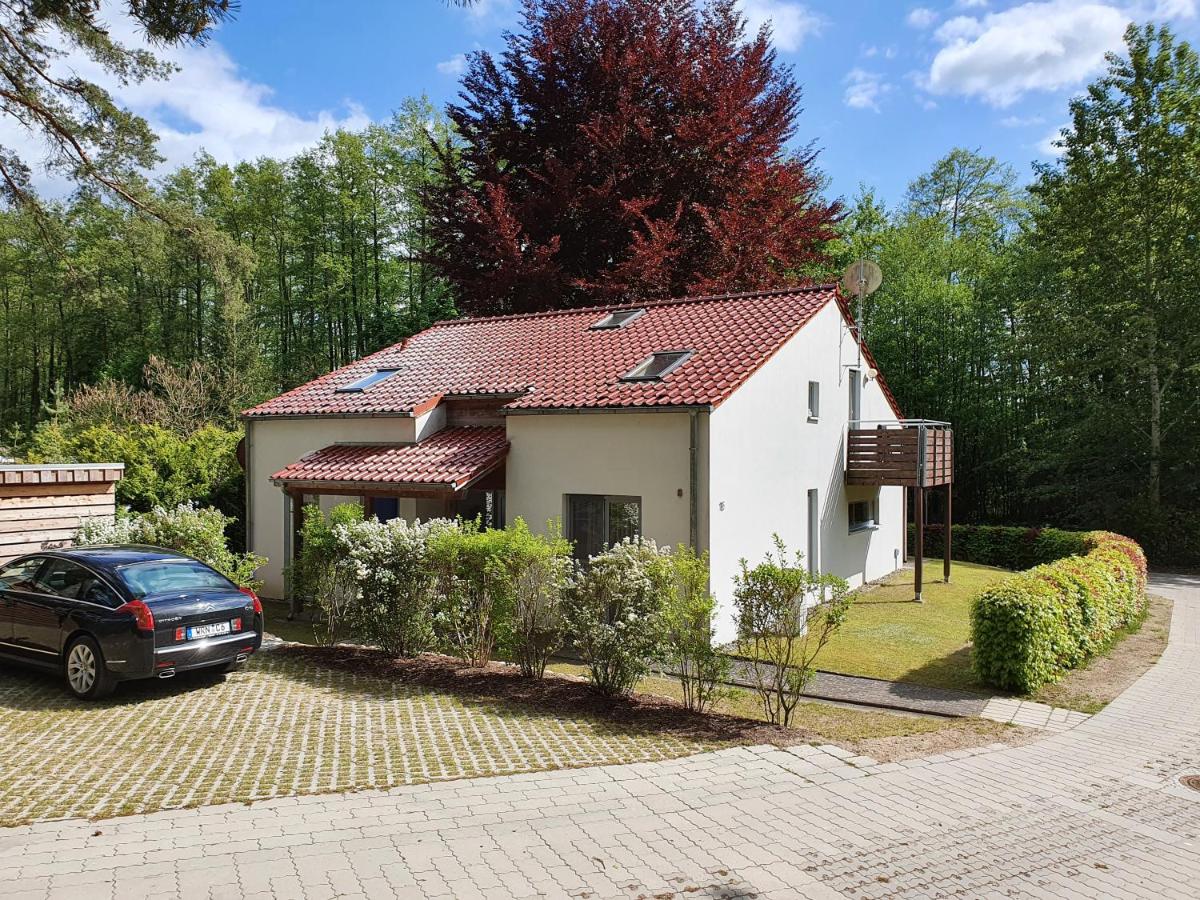 SeeLodge Jabel Appartment 1 - B&B