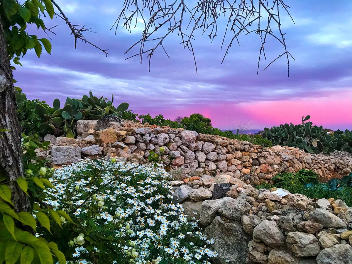 L'Gharix Temple Retreat - B&B Xagħra