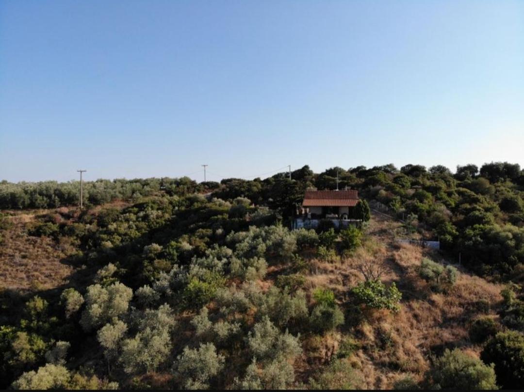 Real Holidays Antoniadou - Rustic House - Ferienwohnung