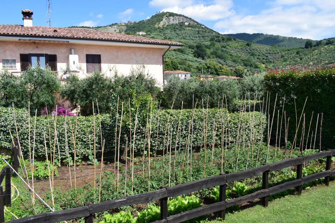 Locanda Pinocchio - B&B Rocca Massima