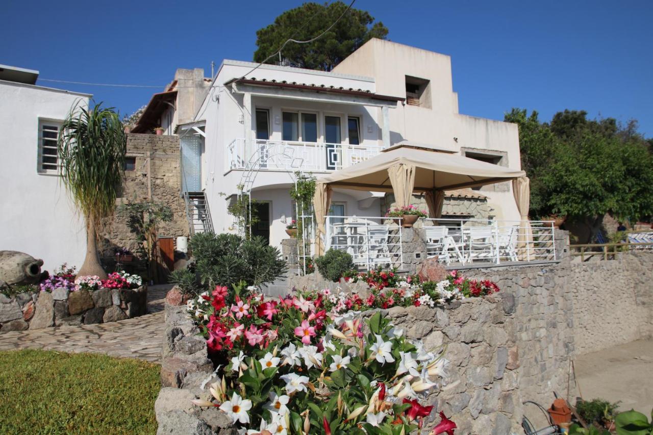 Belgodere di Mezzavia Apartments - B&B Lacco Ameno