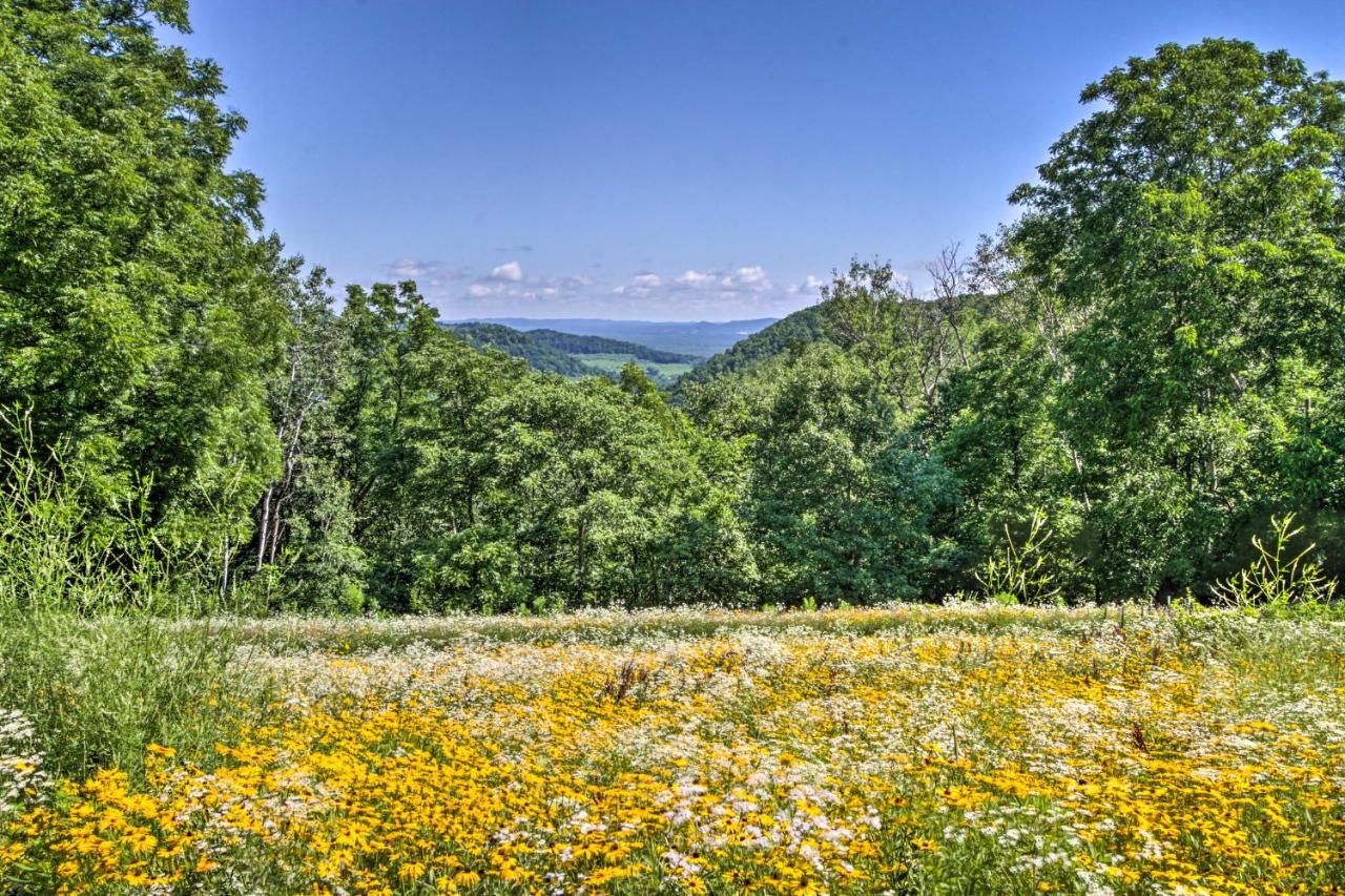 La Crescent Cottage on Minnesota Bluffs with View! - B&B La Crescent