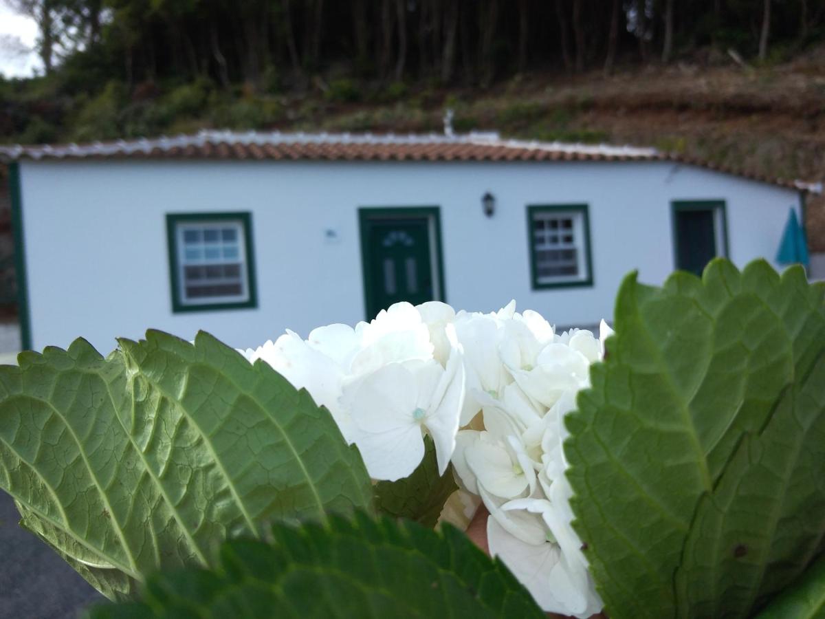 Casa dos Valentes - B&B