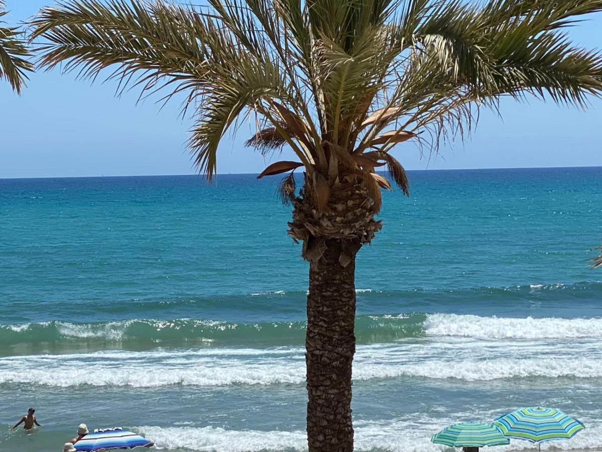 Apartamento frente al mar en El Campello - Chambres d’hôtes El Campello