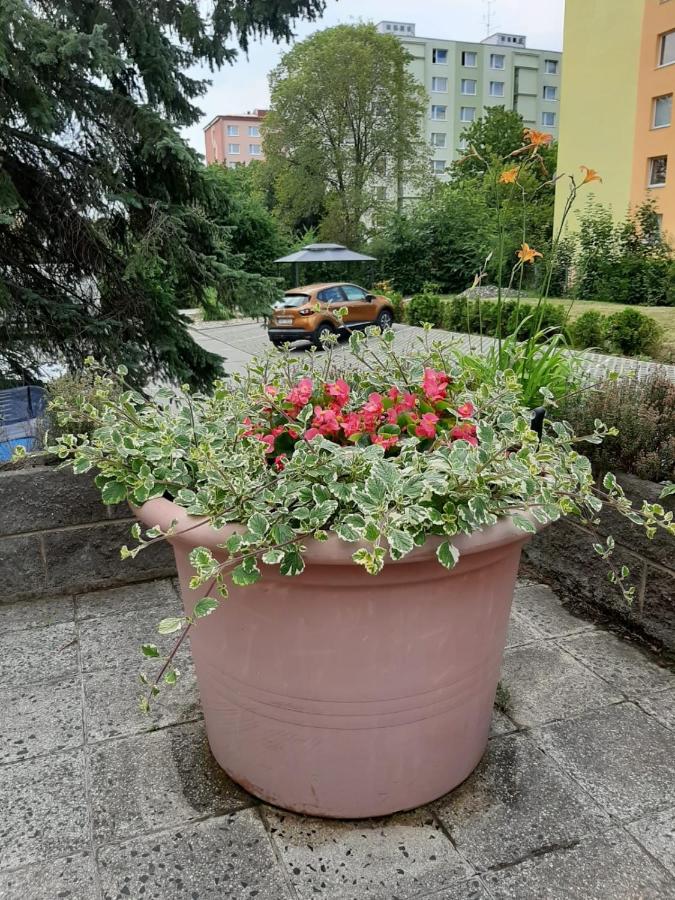 Žlutý apartmán A6 v Chomutově - Bed and Breakfast Chomutov