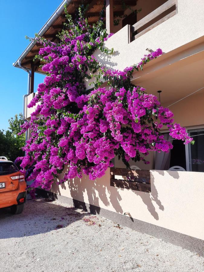 Two Bedroom Apartment ''Sunrise'' - Chambres d’hôtes Pakoštane