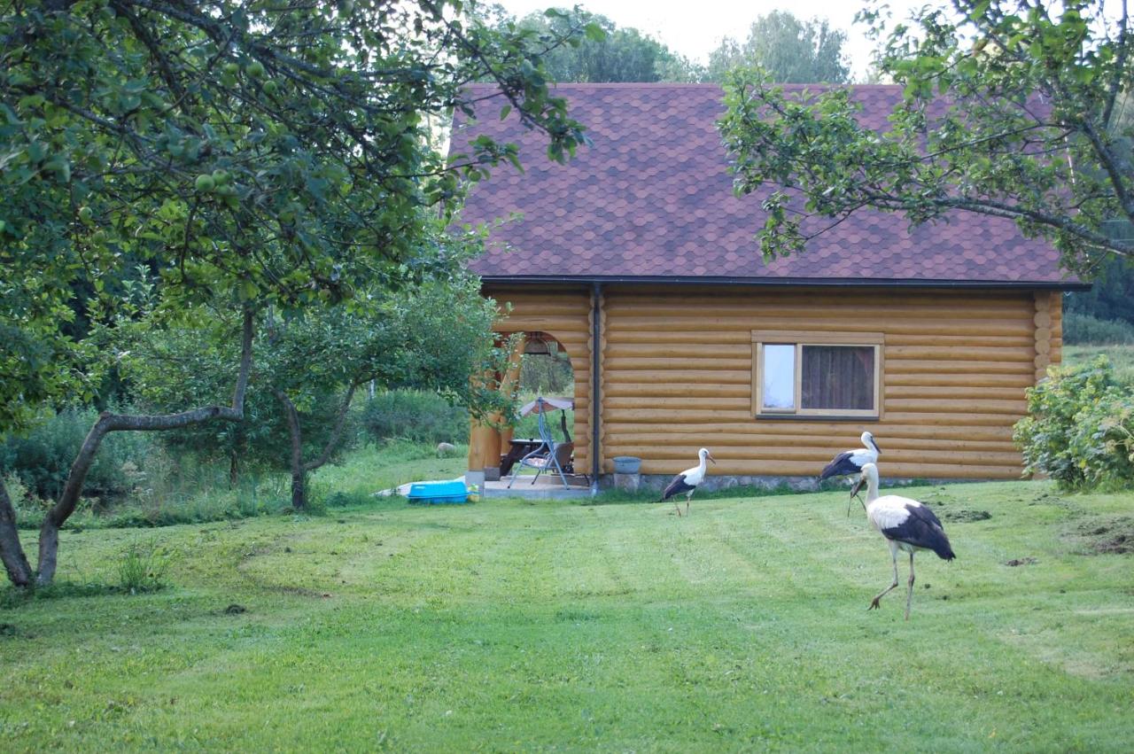 Casa de 3 dormitorios