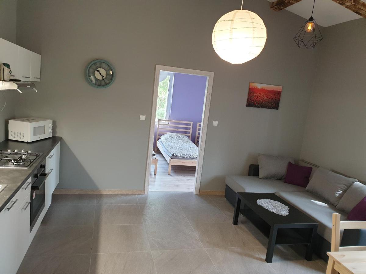 Apartament pod Sosnami 2 noclegi OTW Borówno WLK Skarszewy - Chambres d'hôtes Skarszewy