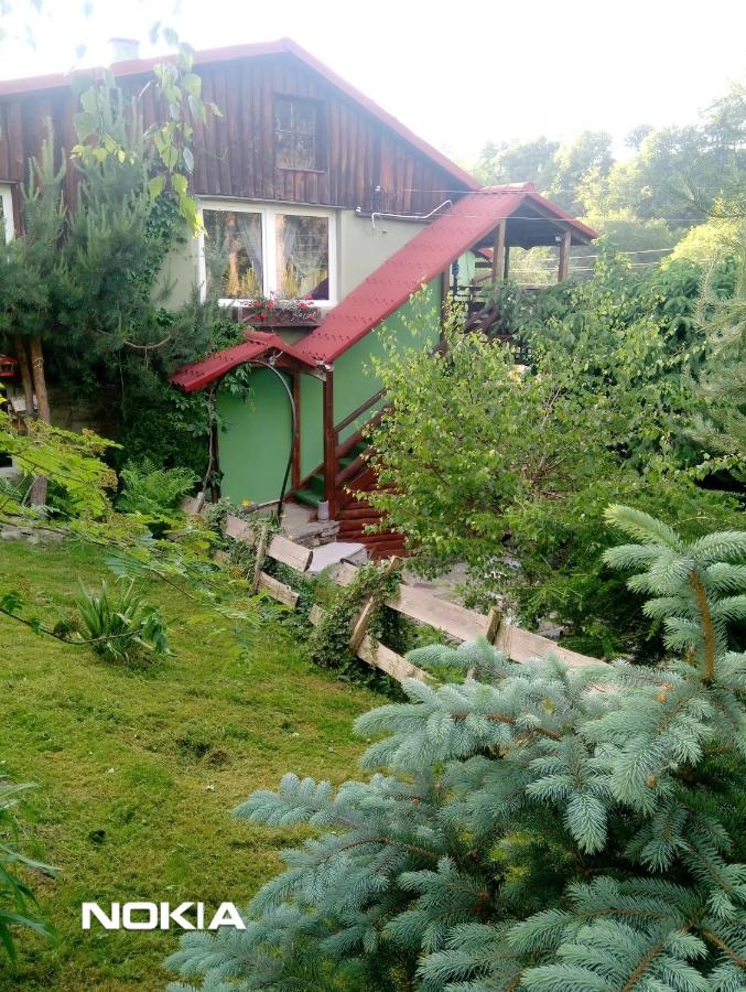 B&B Szczytna - Apartament z ogrodem - Bed and Breakfast Szczytna