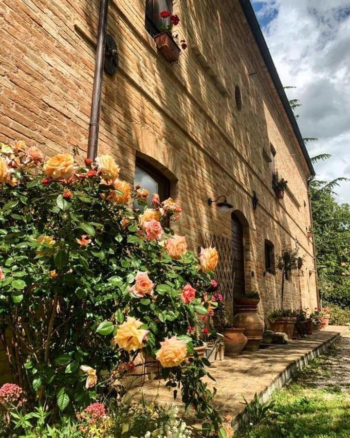 Countryhouse Montebello - B&B