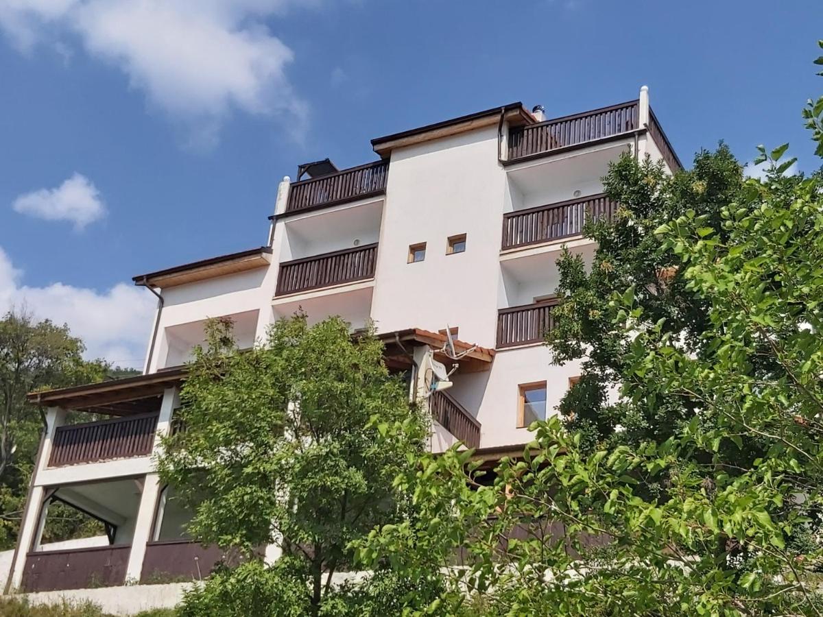 CONACUL SARBESC - B&B Sviniţa