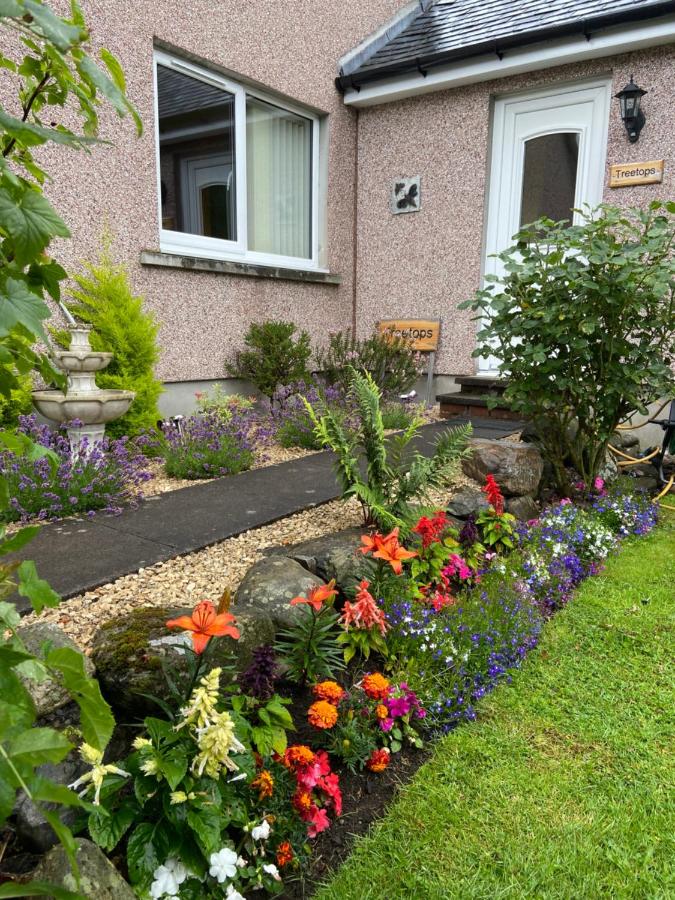 B&B Drumnadrochit - Treetops Bungalow Loch Ness - Bed and Breakfast Drumnadrochit