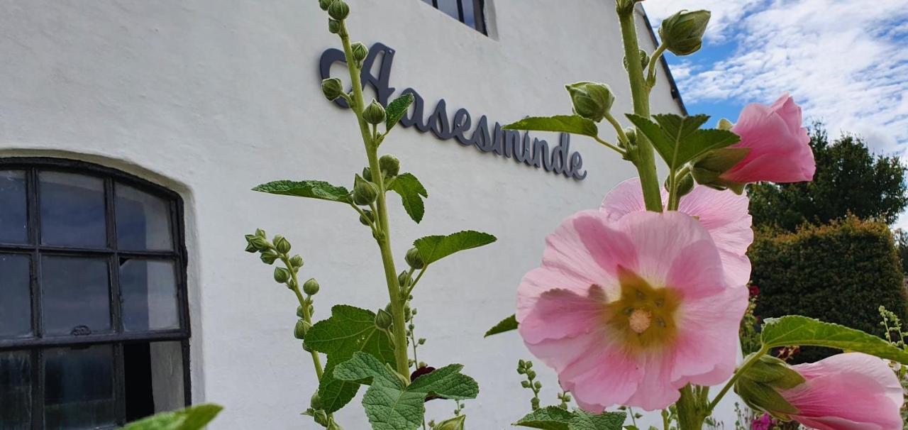 B&B Faaborg - Aasesminde - Bed and Breakfast Faaborg