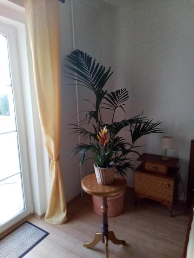 Apartment mit 2 Schlafzimmern