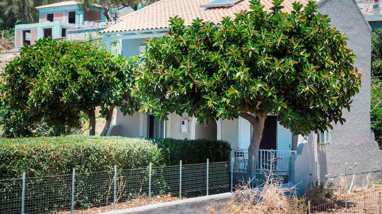 Beachfront Suites Lourdas - B&B Lourdata